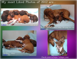 most-liked-fb-pictures.jpg